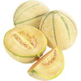 Bild von Zuckermelone Mundial, Preisangabe ohne MwSt. (Preis inkl. MwSt. 2,96 €), METRO 1 Stück