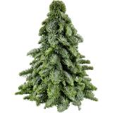Weihnachtsbäumchen ohne Deko, Preisangabe ohne MwSt. (Preis inkl. MwSt. 25,98 €), METRO 1 Stück