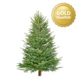 Promotion Bild von Plantiflor Nordmanntanne „Gold-Qualität“, 200-250 cm 370923 HELLWEG 1 Stück
