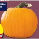 Promotion Bild von Halloweenkürbis aus Österreich HOFER 1 Stück