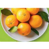 HOFER Marktplatz Blattclementinen HOFER 1 Kilogramm