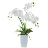 Kunstpflanze „PHALAENOPSIS“ 42973503 Möbelix 1 Stück