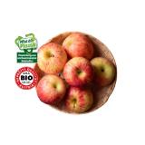 Äpfel rot aus Österreich Lidl 2 Kilogramm 1 Packung