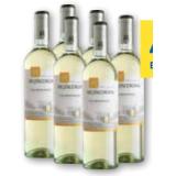 Mezzacorona Chardonnay Trentino DOC T&G 0.75 Liter 1 Flasche