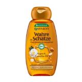 Promotion Bild von Garnier WAHRE SCHÄTZE Shampoo od. Spülung div. Sorten BIPA 1 Stück