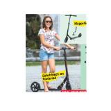 Schildkröt City Scooter Street Master maxi.preisjoker Maximarkt 1 Stück