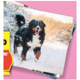 Klassische Fotoabzüge 9x13 cm HOFER 1 Stück