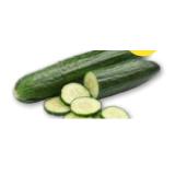 Salatgurke T&G 1 Stück