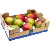 Metro Chef Mango, Preisangabe ohne MwSt. (Preis inkl. MwSt. 2,74 €), METRO 1 Stück