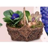 Bepflanzte Frühlings- und Valentins-Arrangements Henkelkorb groß HOFER 1 Stück