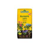 ProfiGarten Blumenerde leicht Lidl 40 Liter 1 Sack