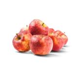 knackig, frischer Apfel „Elstar“ SPAR