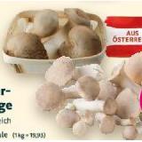 Bio-Kräuterseitlinge Denns BioMarkt 150 Gramm 1 Schale