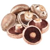 Bild von Portobello Pilze Lidl 300 Gramm