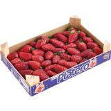 Erdbeeren MPREIS 1 Kilogramm 1 Kiste