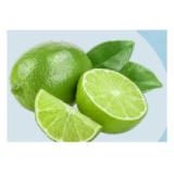 M Bio Limetten MPREIS 3 Stück