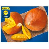 Promotion Bild von Ein gutes Stück Heimat Bio Speisekürbis Hokkaido aus Österreich Lidl APP Preis 1 Kilogramm