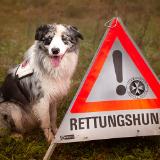 Promotion Bild von Gesucht? Gefunden! - durch unsere Helden auf 4 Pfoten! Johanniter