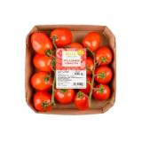 BILLA immer gut Pflaumenparadeiser BILLA PLUS 500 Gramm 1 Packung