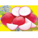 Snack Radieschen Lidl APP Preis 300 Gramm