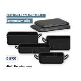 Riess Mini Back- und Servierformen div. Sorten Maximarkt 1 Stück