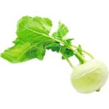 Spar Natur pur herzhafter Bio-Kohlrabi SPAR 1 Stück