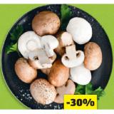 Promotion Bild von HOFER Marktplatz Champignons weiß, braun oder Grillchampignons HOFER 1 Packung
