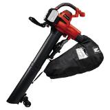 Einhell AKKU-LAUBSAUGER GE-CL 36/230LIESOLO, ZGONC 1 Stück