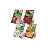 Winterzwiebel Pflanzknoblauch versch. Sorten HOFER 1 Stück