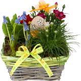 Frühlings-Arrangement div. Größen und, Preisangabe ohne MwSt. (Preis inkl. MwSt. 6,20 €), METRO 1 Stück