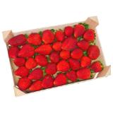 Erdbeeren Lidl APP Preis 1 Kilogramm