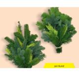 Reisig-Handbund HOFER 1 Bund