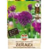 Zierlauch Purple Sensation 354298 HELLWEG 1 Stück