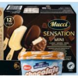 MUCCI Stieleis Mini Mix HOFER 600 Milliliter 1 Packung