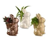 Promotion Bild von Bepflanzter Osterhase versch. Farben und Bepflanzungen Lidl 1 Stück