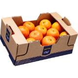 Metro Chef Clementinen, Preisangabe ohne MwSt. (Preis inkl. MwSt. 2,96 €), METRO 1 Kilogramm