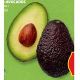HOFER Marktplatz Bio-Avocados HOFER 2 Stück
