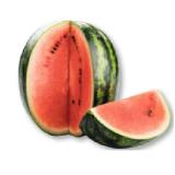 Bild von Mini Wassermelone Unimarkt 1 Kilogramm