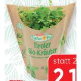 Spar Natur pur Bio-Liebstöckel Topf SPAR Gourmet 1 Stück