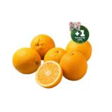 Marktliebe Orangen jö Bonus Club Preis Penny 1 Kilogramm 1 Netz