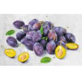 Zwetschken BILLA PLUS 1 Kilogramm