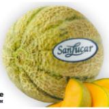 Bild von SanLucar Zuckermelone »Cantaloupe« BILLA PLUS 1 Stück