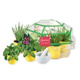 Bild von Kosmos Kräuter-Garten Krone Vorteilswelt 1 Stück