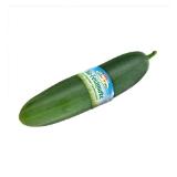 Bild von Spar Natur pur Bio-Feldgurke INTERSPAR 1 Stück