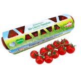 Spar Natur pur Aromatische Bio-Cherrytomaten Bad Blumau INTERSPAR 300 Gramm 1 Packung