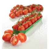 Perlinger aromatische Cherrytomaten EUROSPAR 250 Gramm 1 Packung