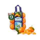 San Lucar Mandarinen Penny 750 Gramm 1 Netz