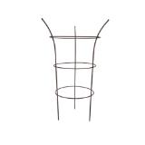 Dehner Pflanzstütze 'Chester', ca. Ø50/H70 cm Dehner 1 Stück