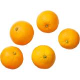 Bio Orangen Lidl APP Preis 1 Kilogramm