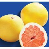 Pomelo rotfleischig Lidl APP Preis 1 Kilogramm